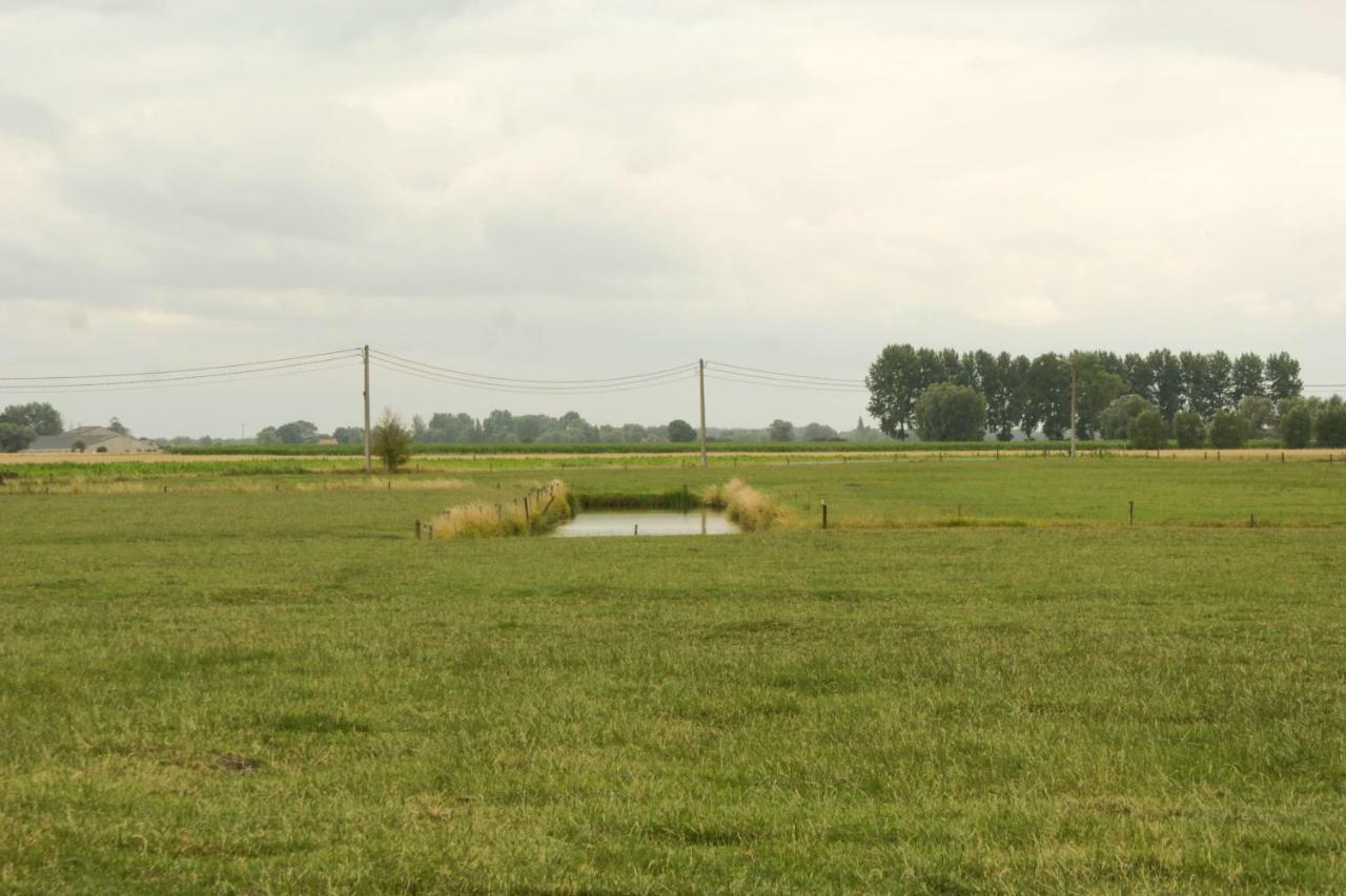De Goudmijn Villa Diksmuide Eksteriør bilde